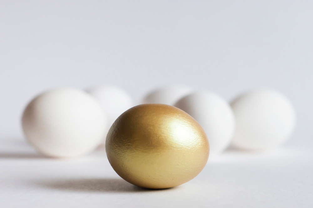 Diversity in your portfolio protects against all markets