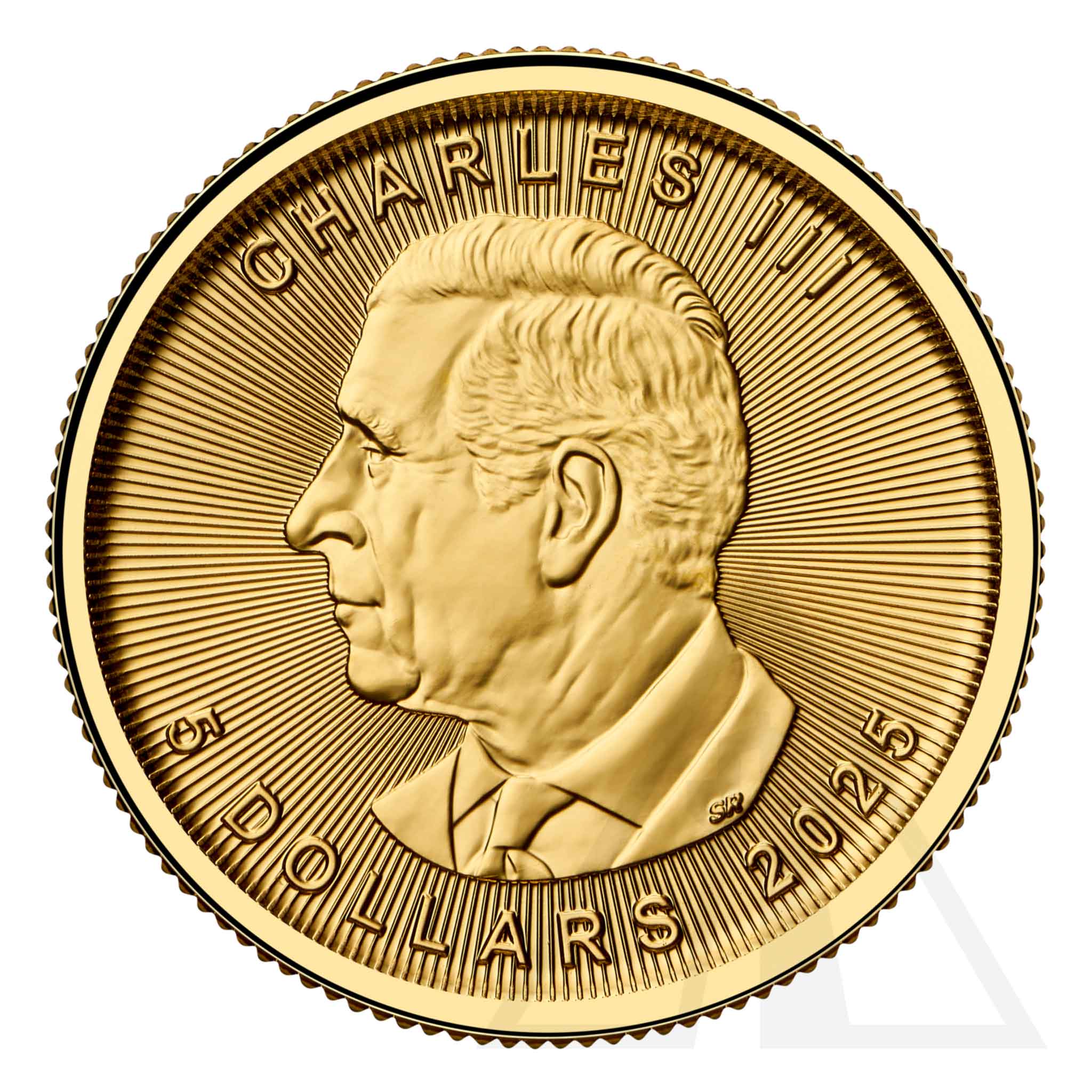 1/10 Oz Gold Maple Leaf Coin 2024