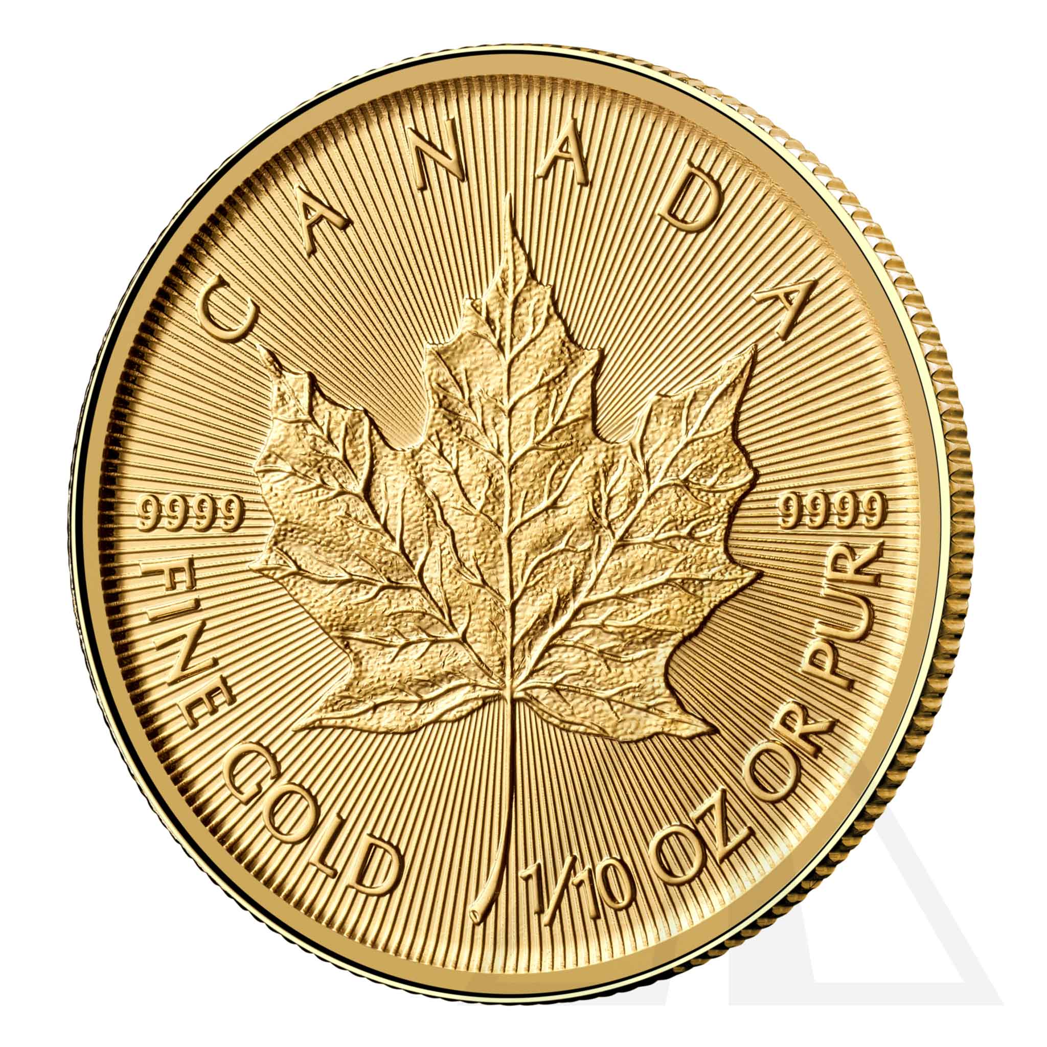 1/10 Oz Gold Maple Leaf Coin 2024