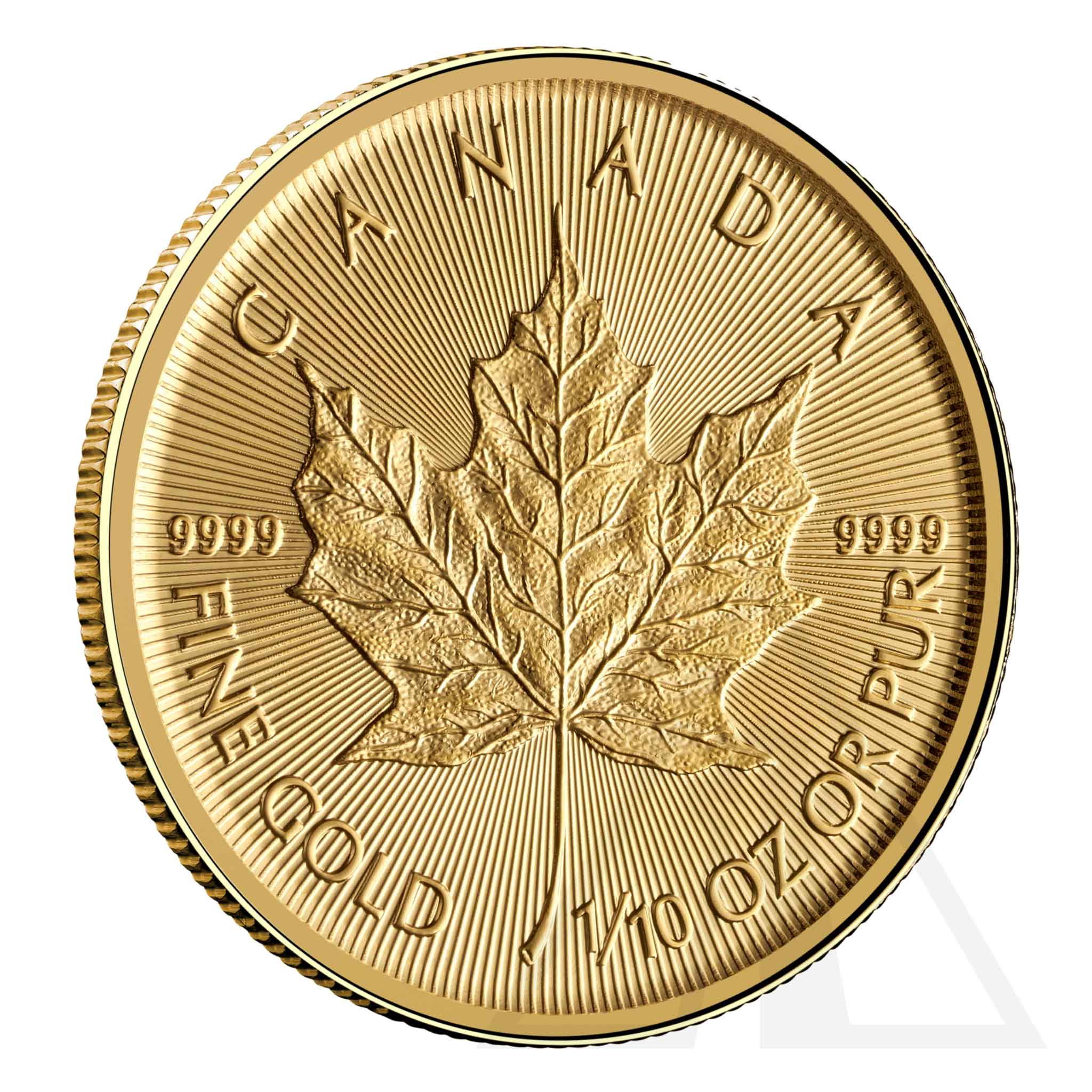 1/10 Oz Gold Maple Leaf Coin 2024