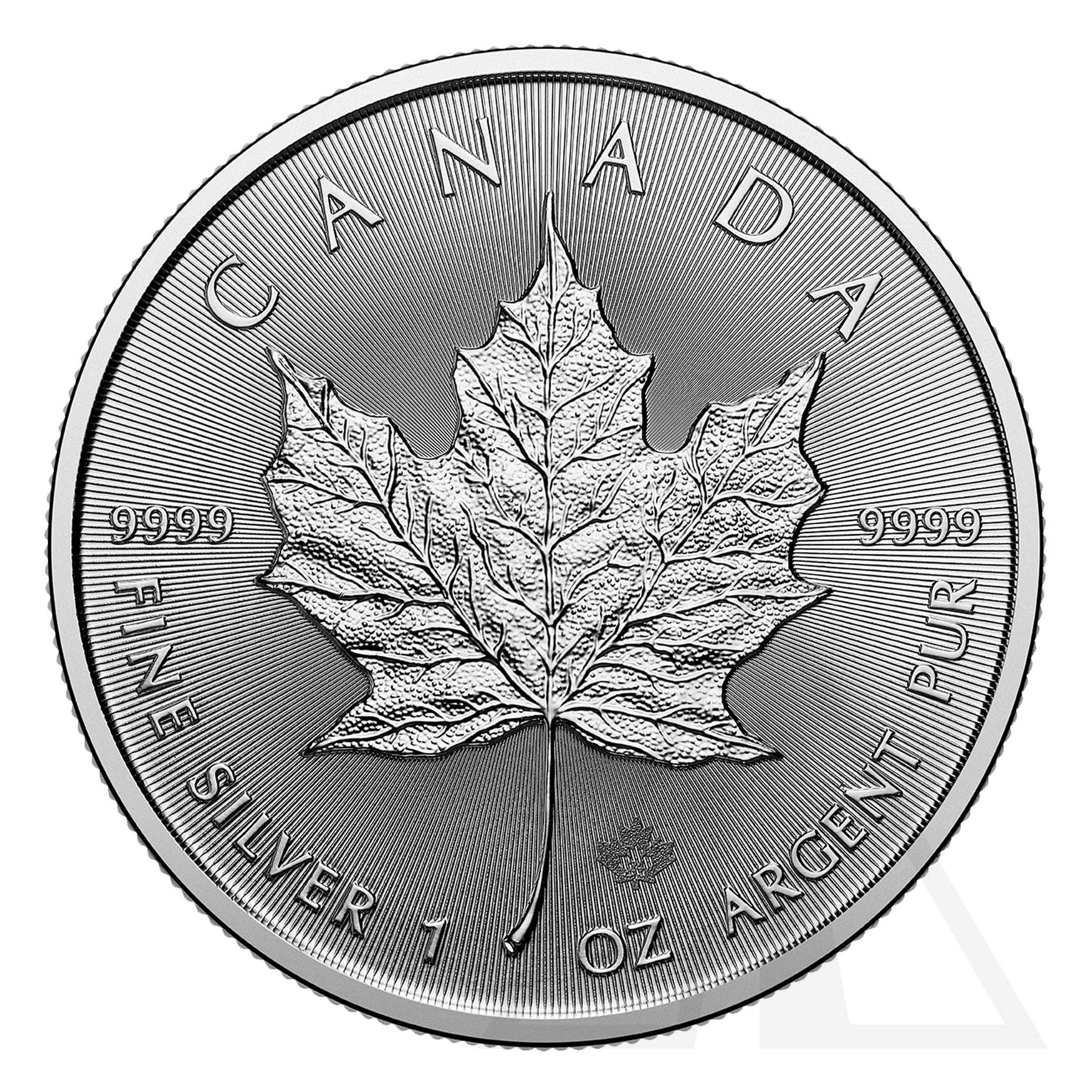 1 Oz Silver Maple Leaf Coin 2024 (Tube - 25 coins)