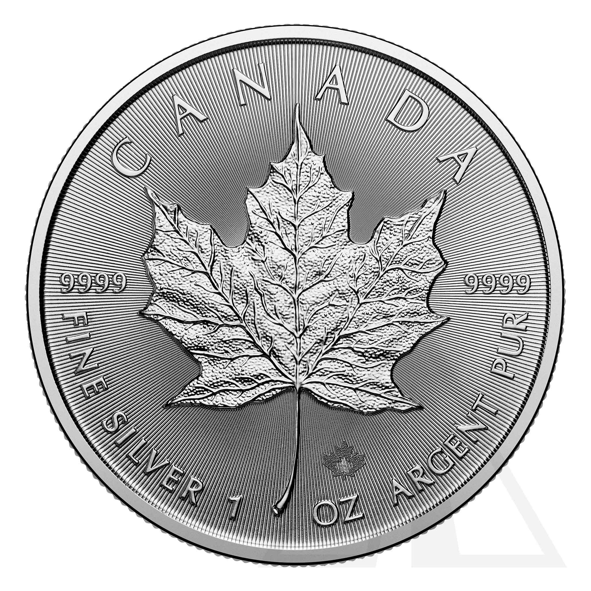 1 Oz Silver Maple Leaf Coin 2025 (Tube - 25 coins)