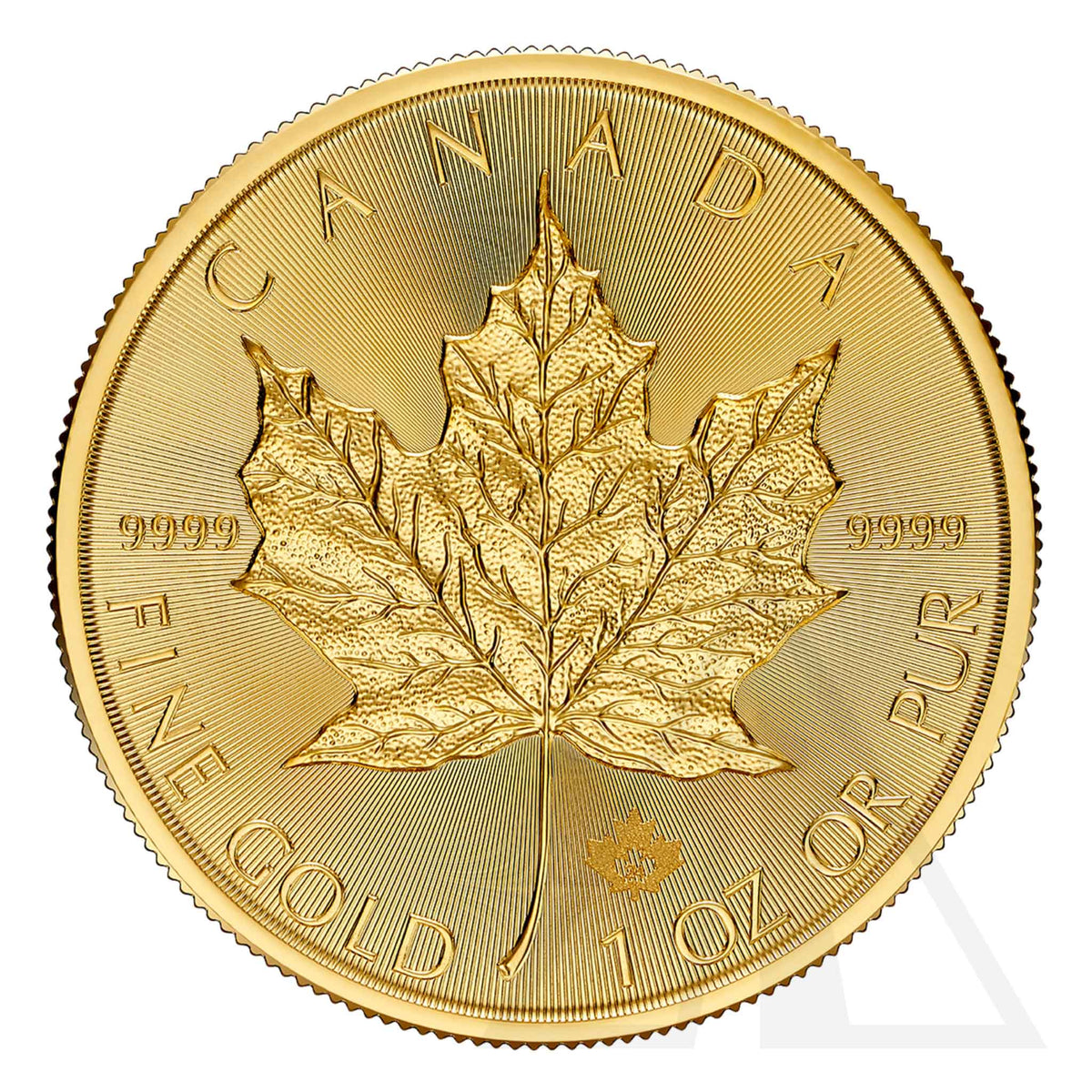 1 Oz Gold Maple Leaf Coin 2024