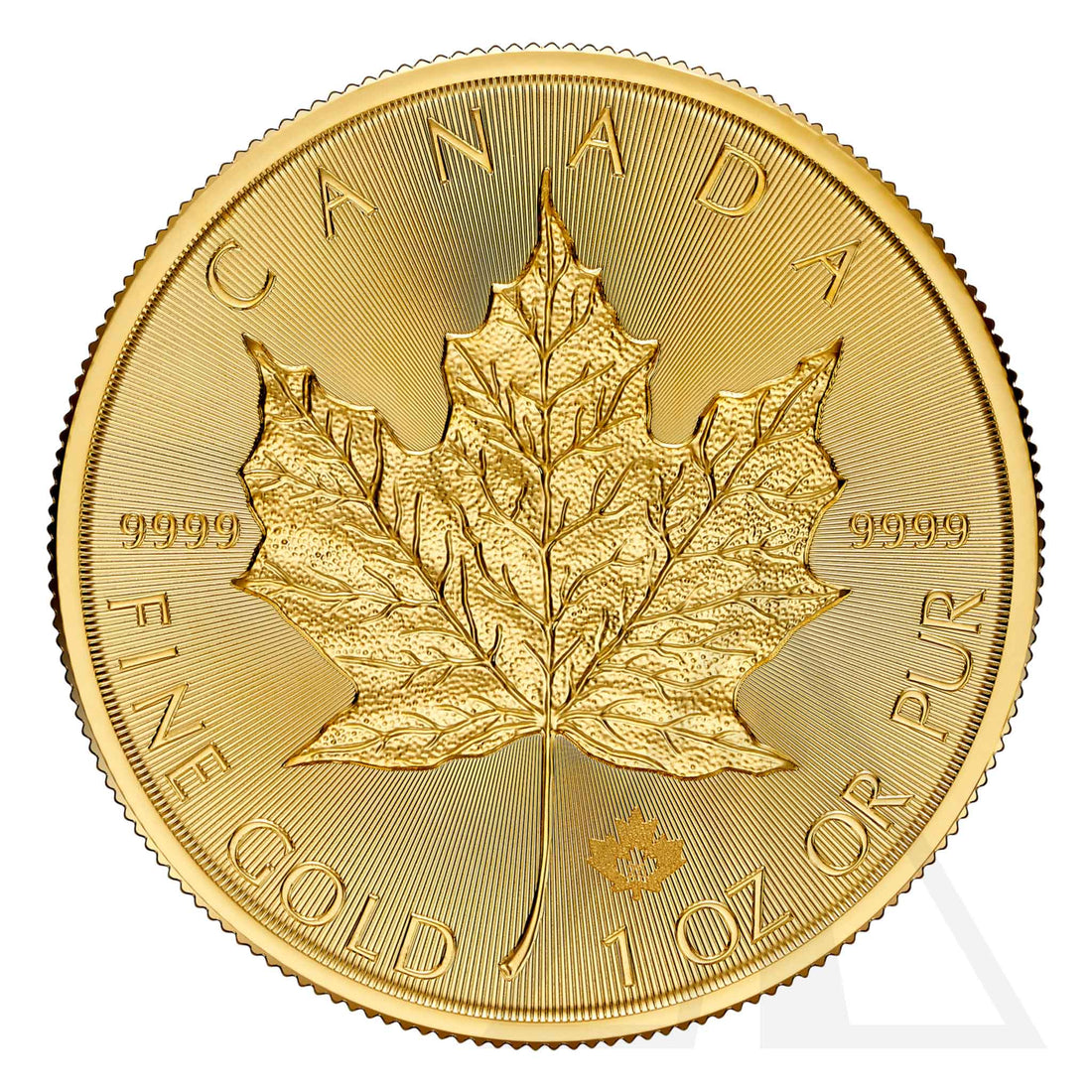 1 Oz Gold Maple Leaf Coin 2026