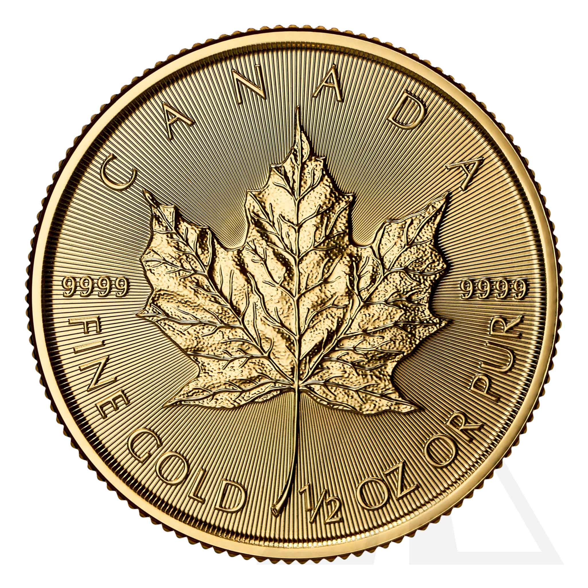 1/2 Oz Gold Maple Leaf Coin - 2025