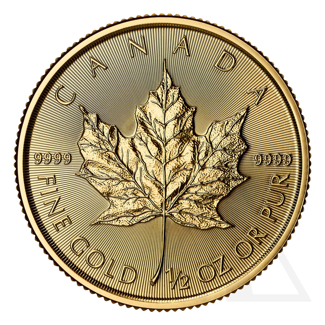 1/2 Oz Gold Maple Leaf Coin - 2026