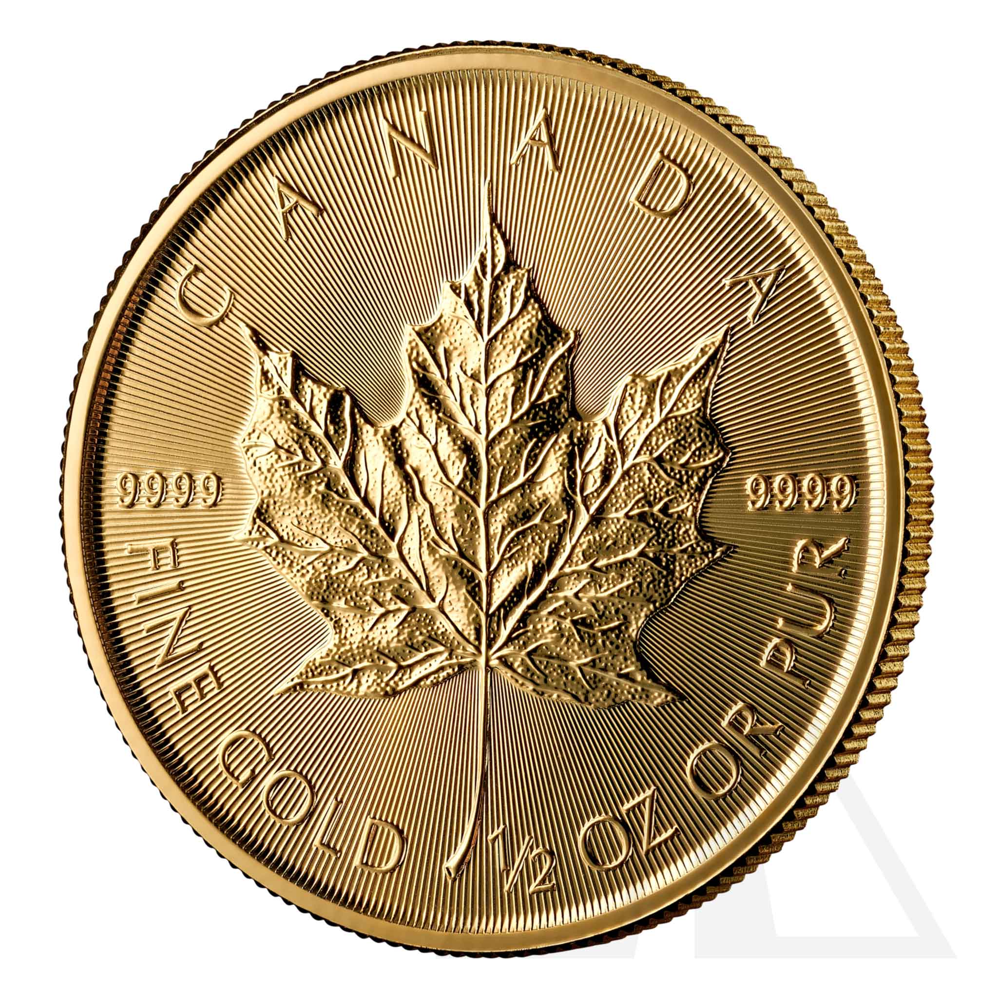 1/2 Oz Gold Maple Leaf Coin - 2025