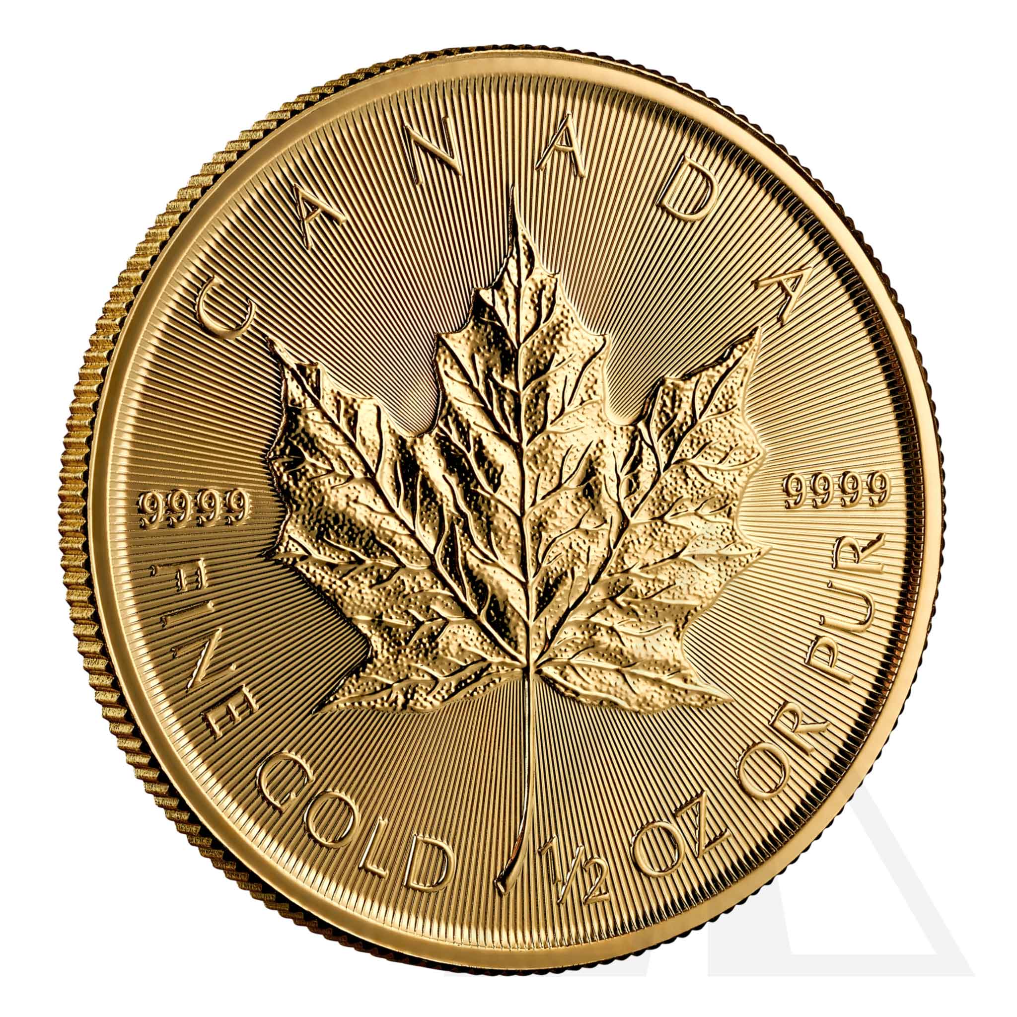 1/2 Oz Gold Maple Leaf Coin - 2025