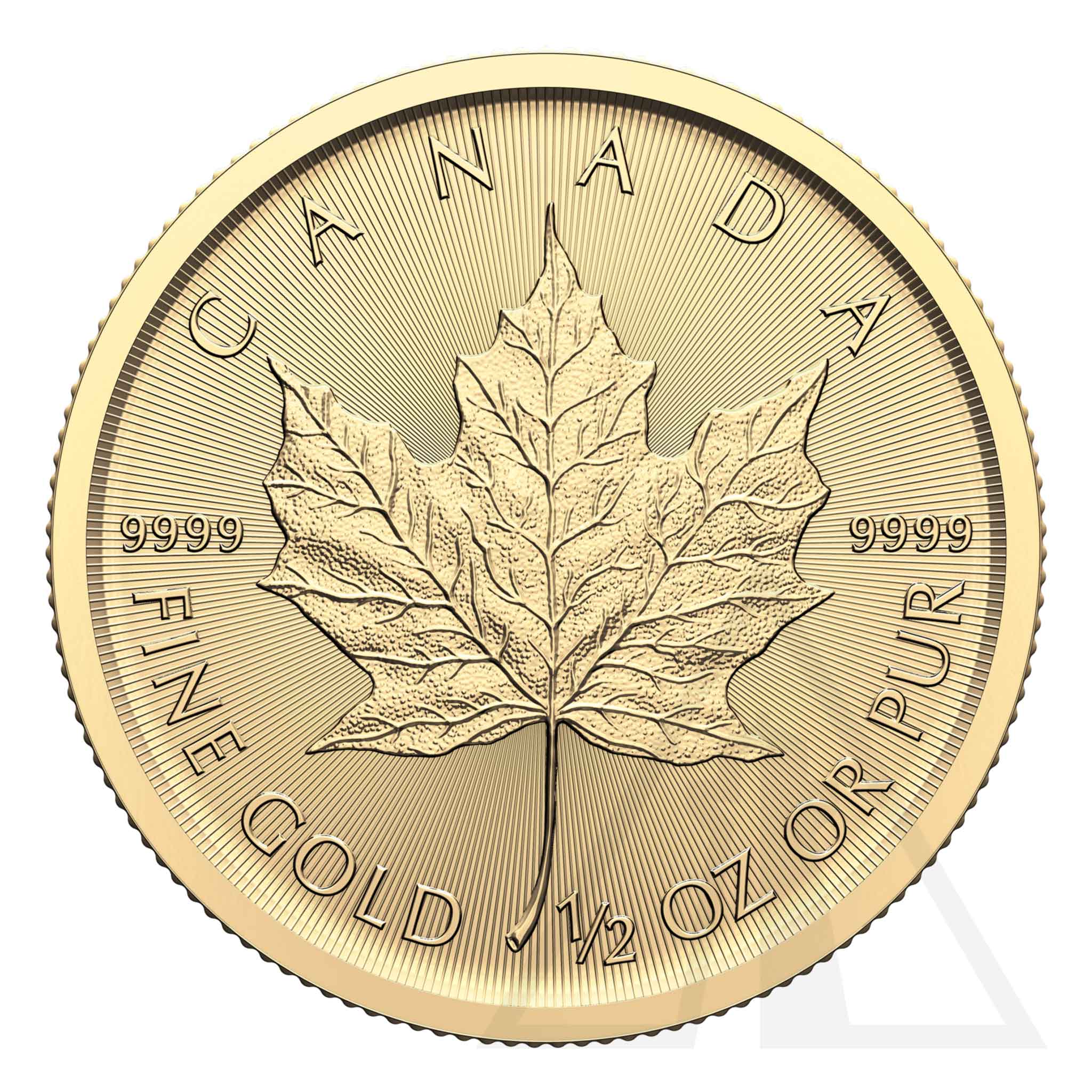 1/2 Oz Gold Maple Leaf Coin - 2024