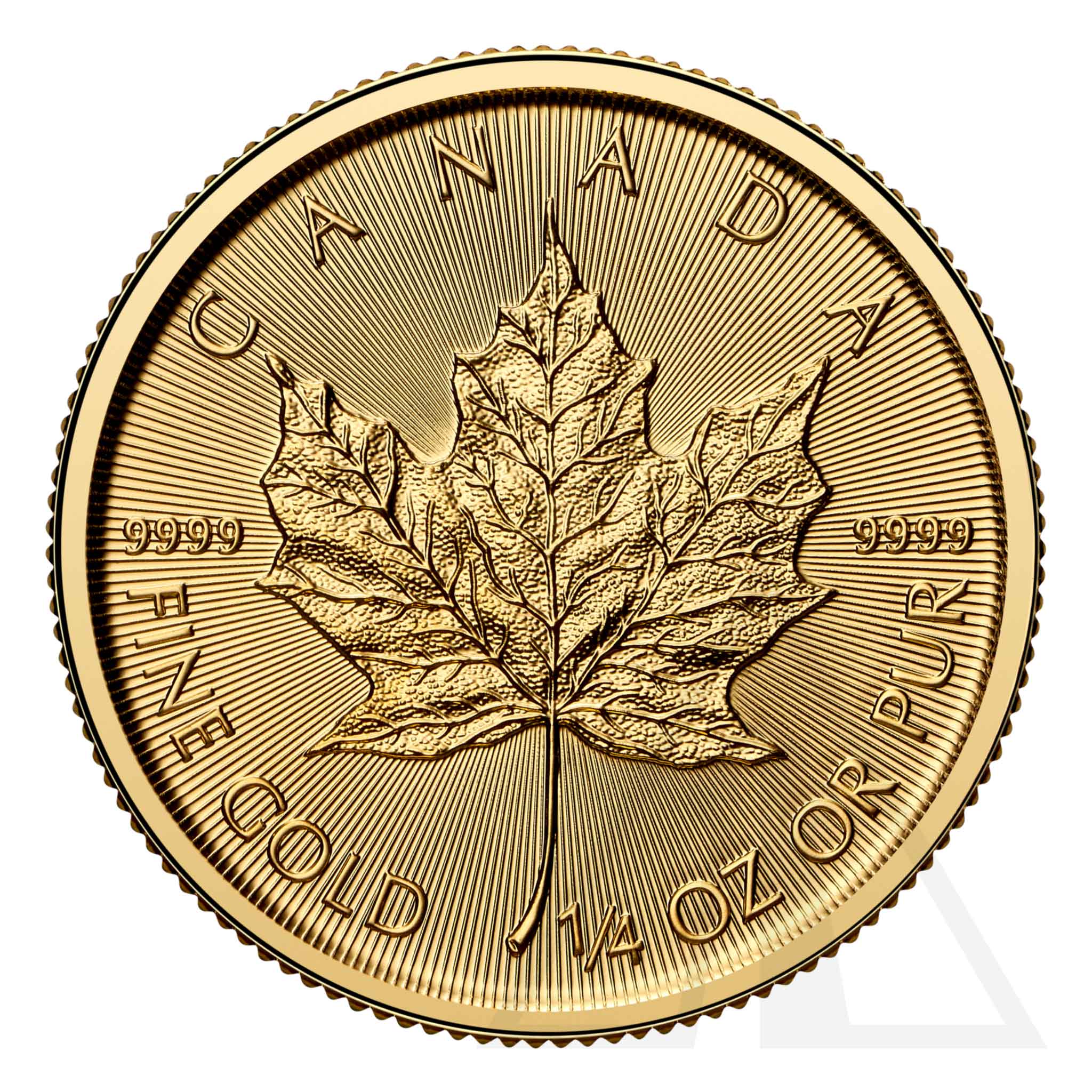 1/4 Oz Gold Maple Leaf Coin 2025