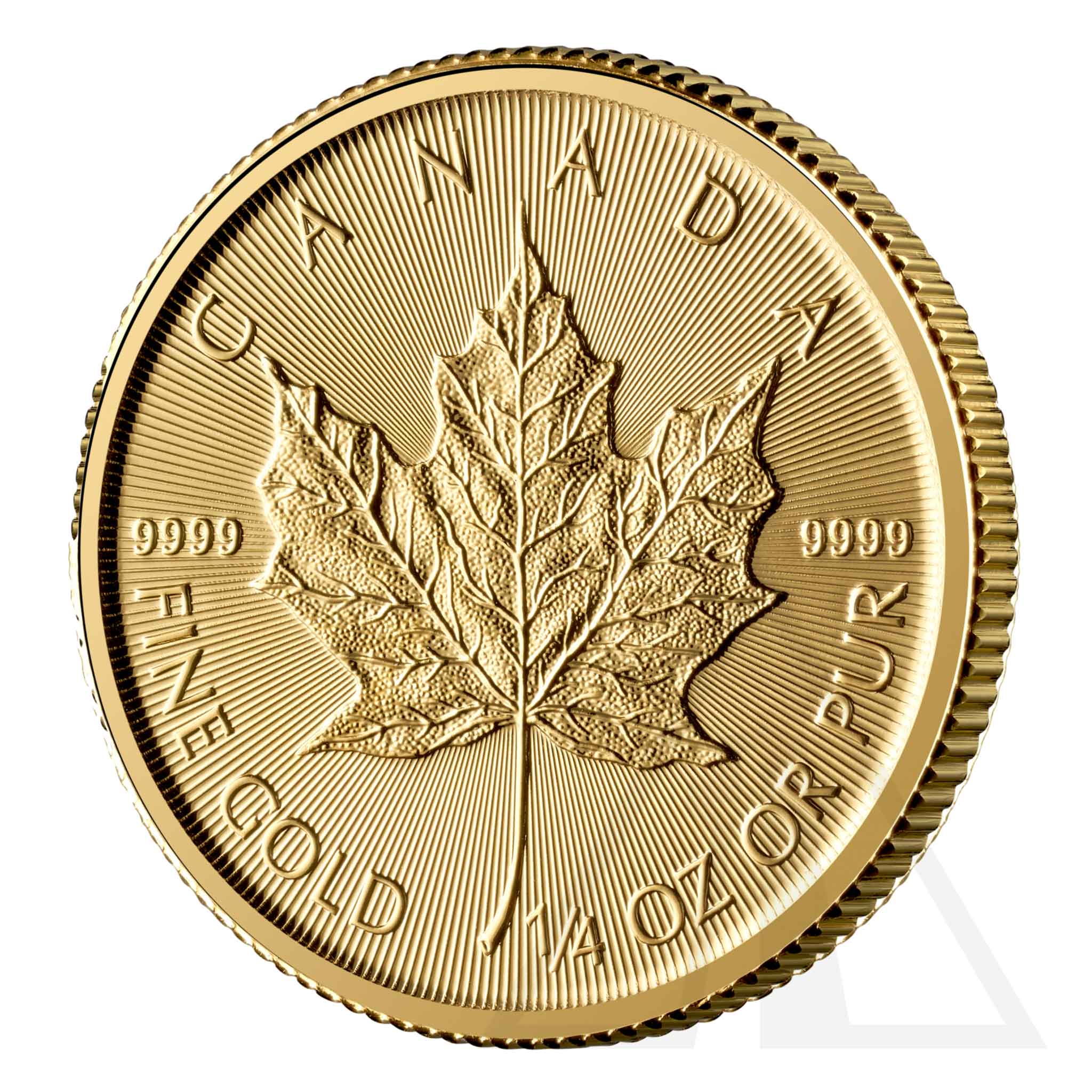 1/4 Oz Gold Maple Leaf Coin 2025