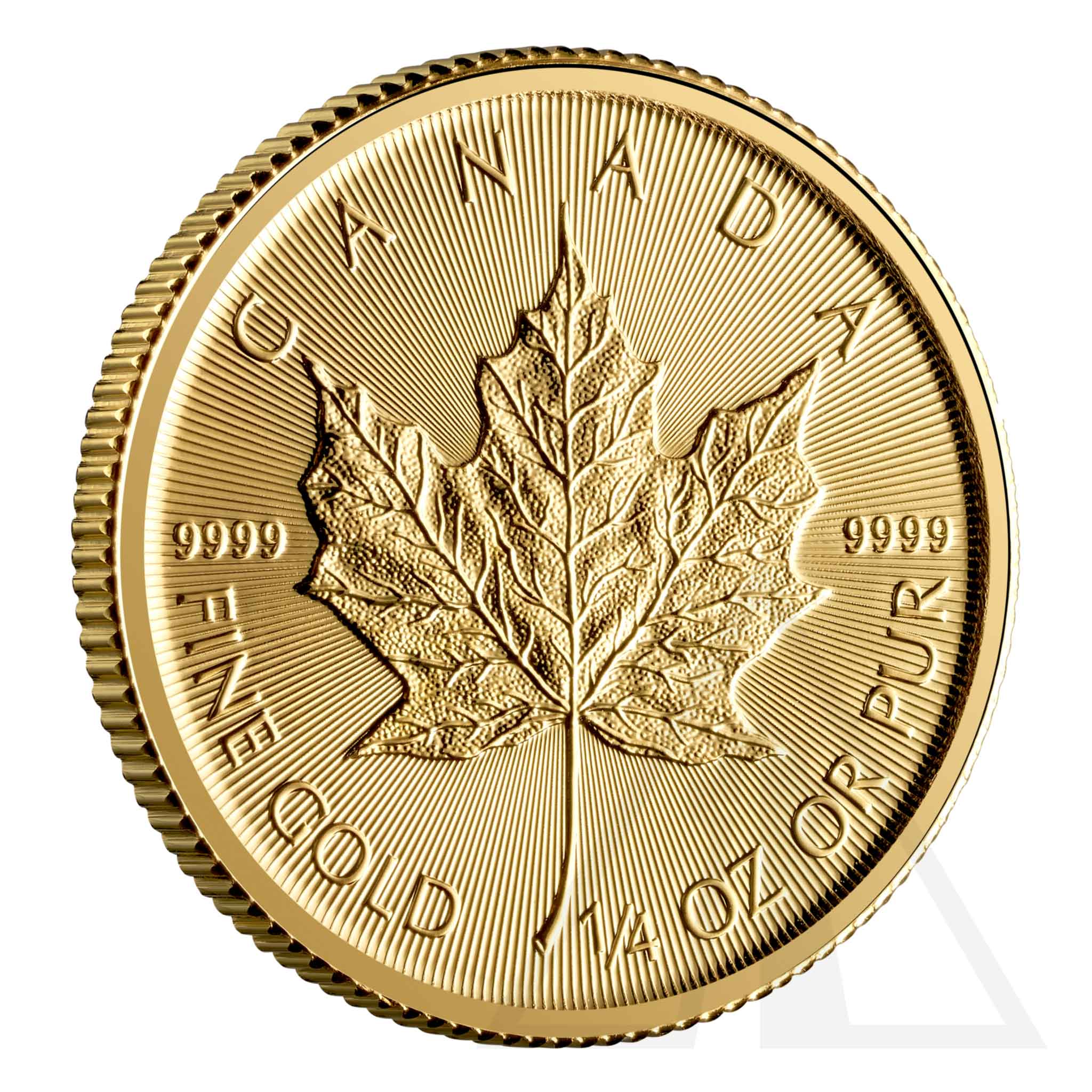 1/4 Oz Gold Maple Leaf Coin 2025