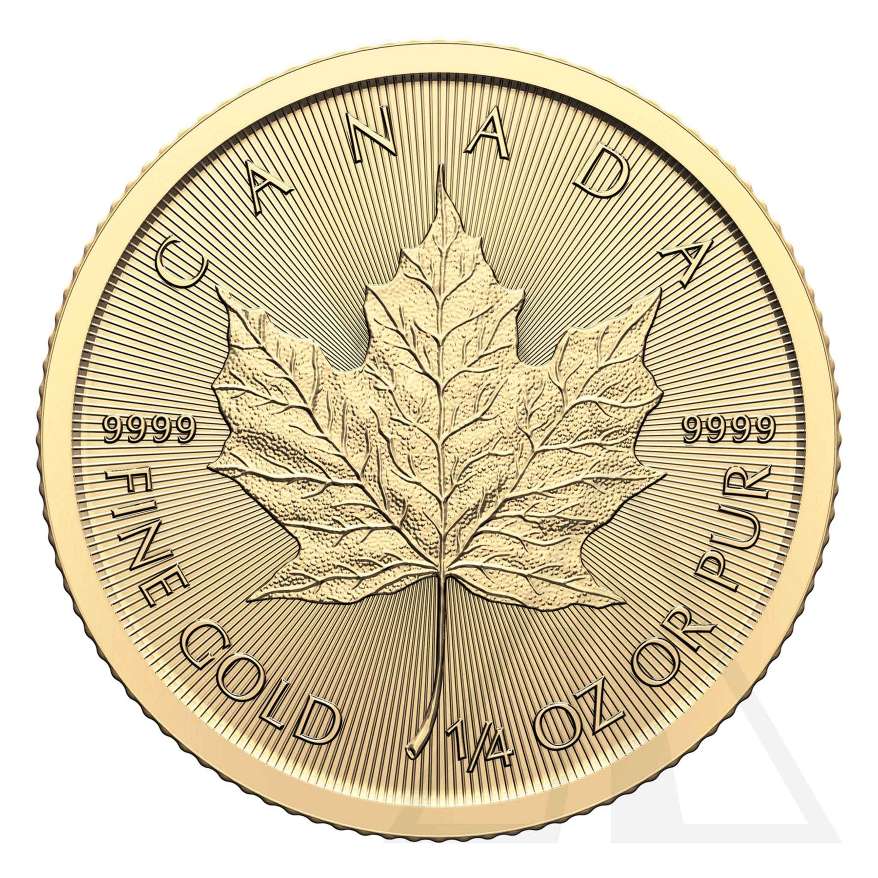 1/4 Oz Gold Maple Leaf Coin 2024