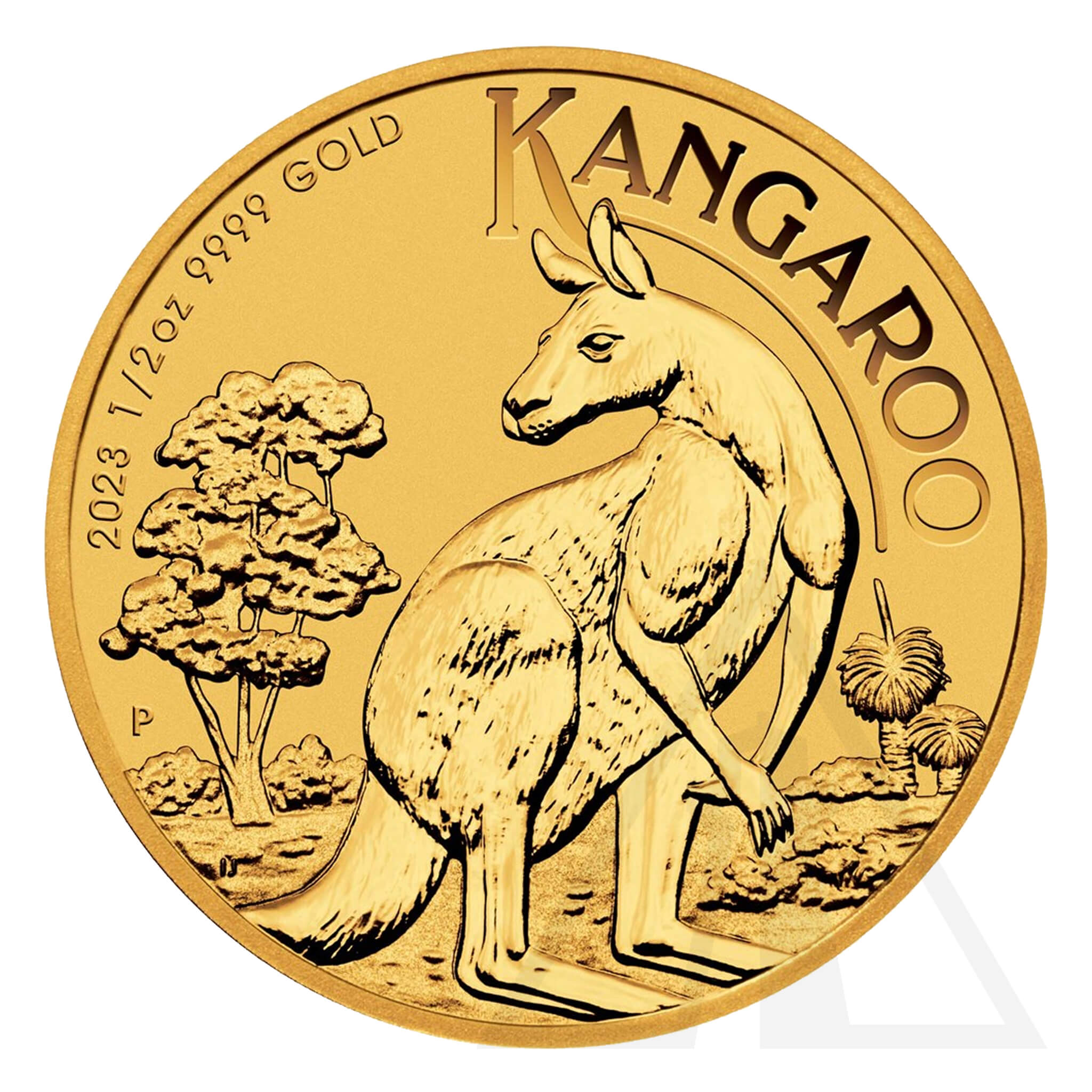 1/2 Oz Perth Mint Kangaroo Gold Coin 2023