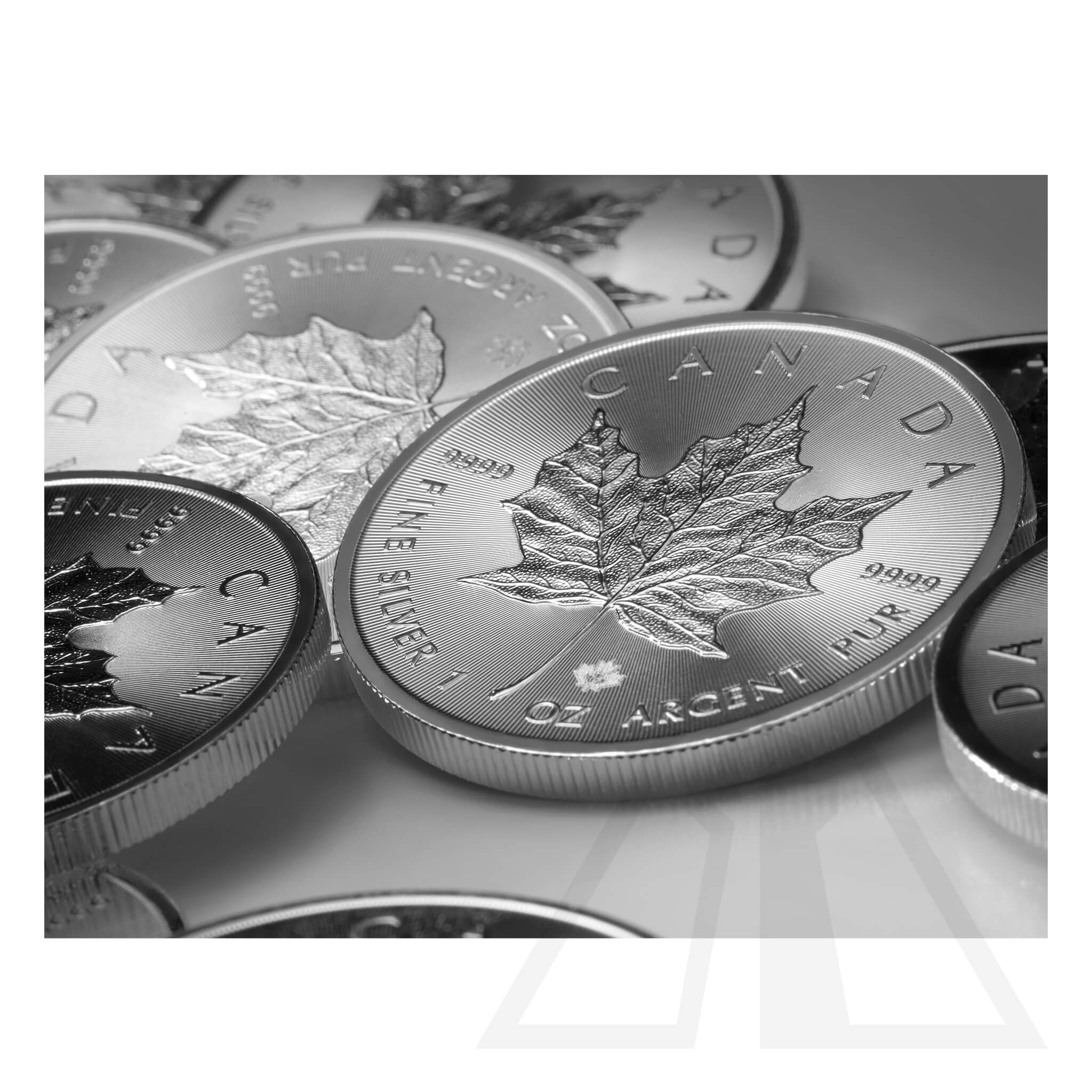 1 Oz Silver Maple Leaf Coin 2024 (Monster Box - 500 coins)