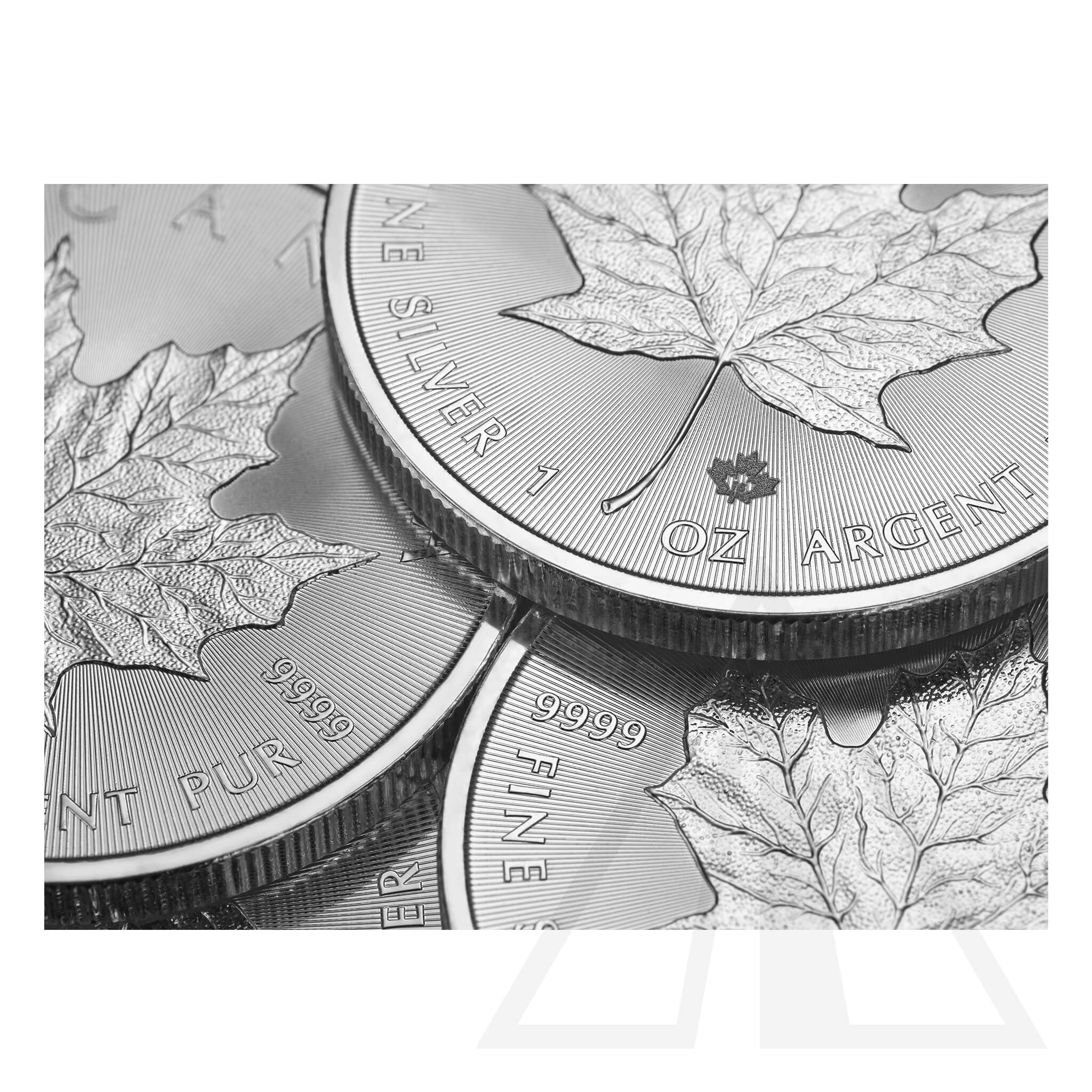 1 Oz Silver Maple Leaf Coin 2024 (Tube - 25 coins)