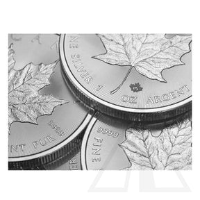 1 Oz Silver Maple Leaf Coin 2023 (Tube - 25 coins)