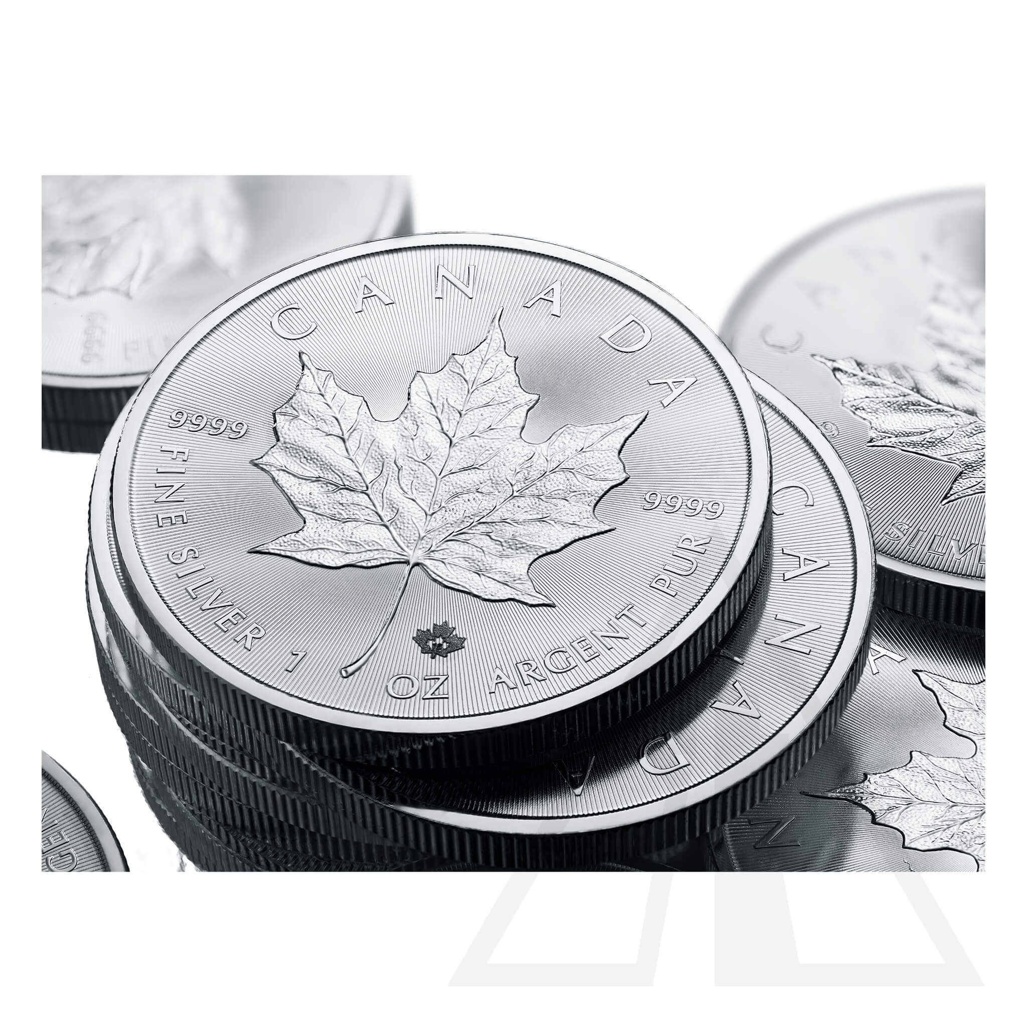 1 Oz Silver Maple Leaf Coin 2024 (Tube - 25 coins)