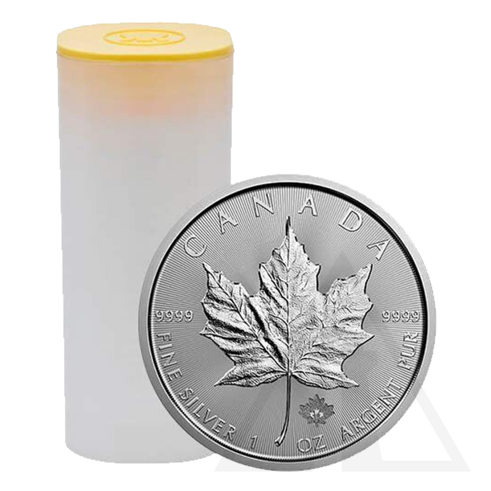 1 Oz Silver Maple Leaf Coin 2024 (Tube - 25 coins)