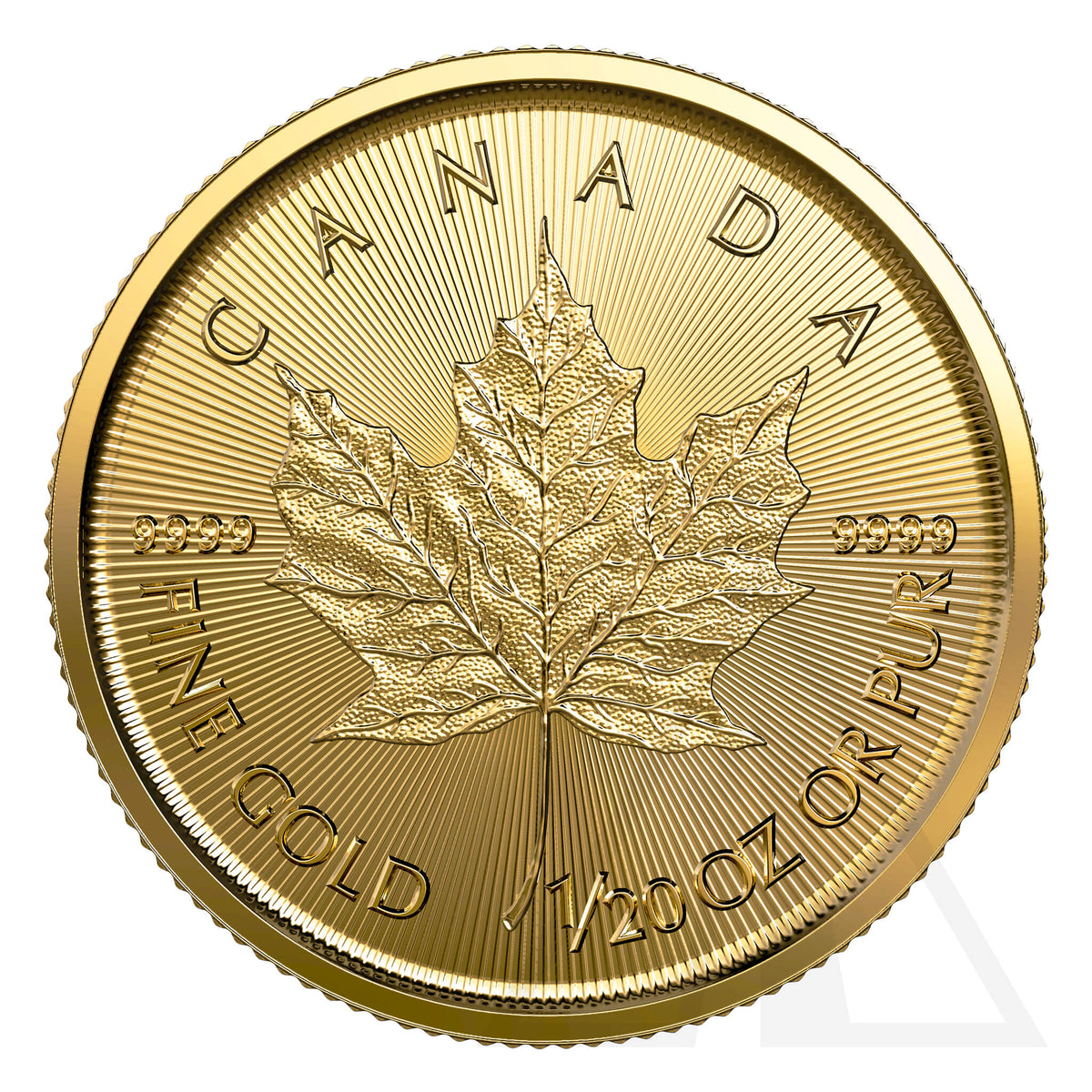 1/20 Oz Gold Maple Leaf Coin 2023
